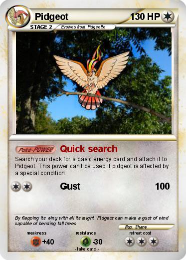 Pokemon Pidgeot