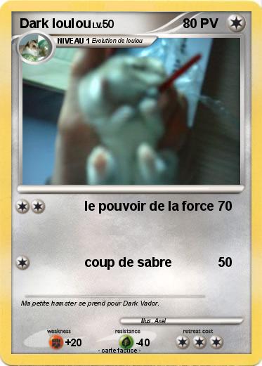 Pokemon Dark loulou