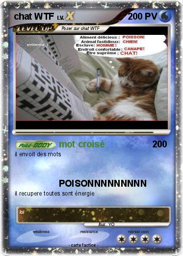 Pokemon chat WTF