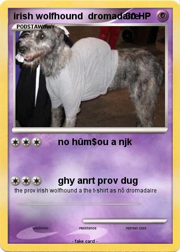 Pokemon irish wolfhound  dromadaire