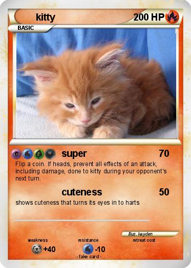Pokemon kitty