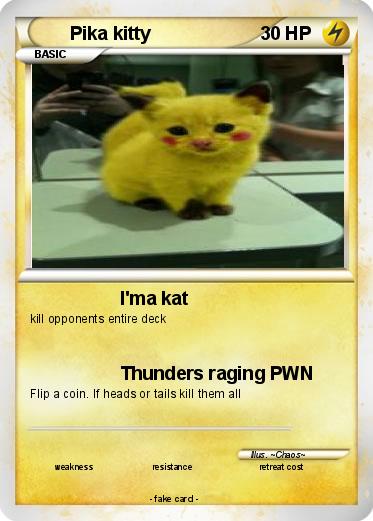 Pokemon Pika kitty