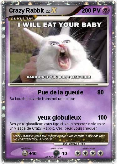 Pokemon Crazy Rabbit