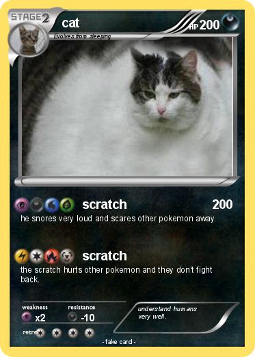 Pokemon cat