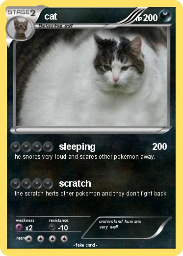 Pokemon cat