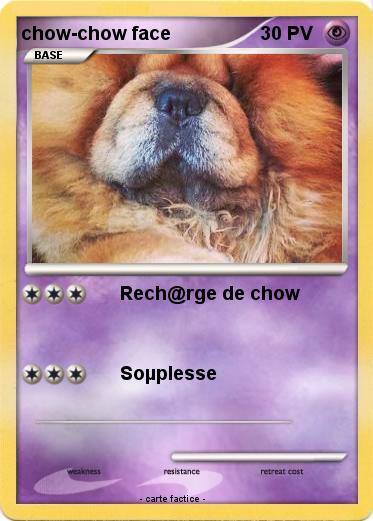 Pokemon chow-chow face