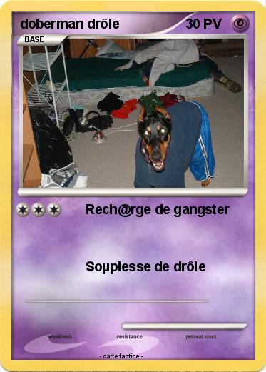 Pokemon doberman drôle