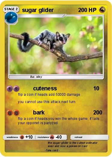 Pokemon sugar glider