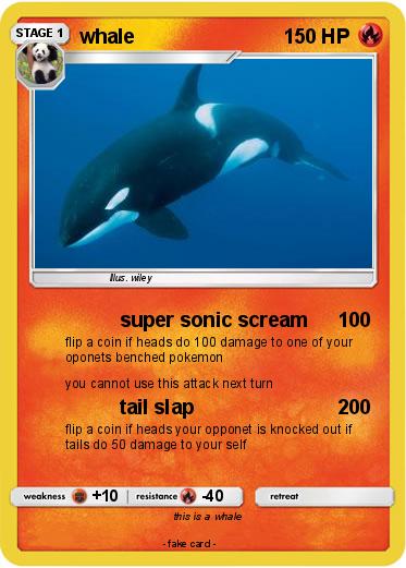 Pokemon whale