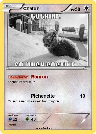 Pokemon Chaton