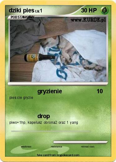 Pokemon dziki pies