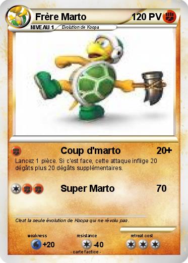 Pokemon Frère Marto