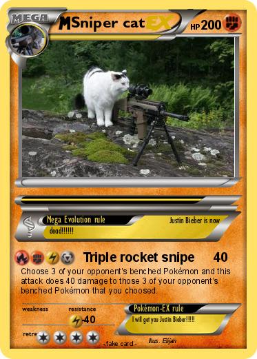 Pokemon Sniper cat