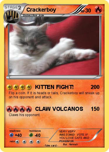 Pokemon Crackerboy