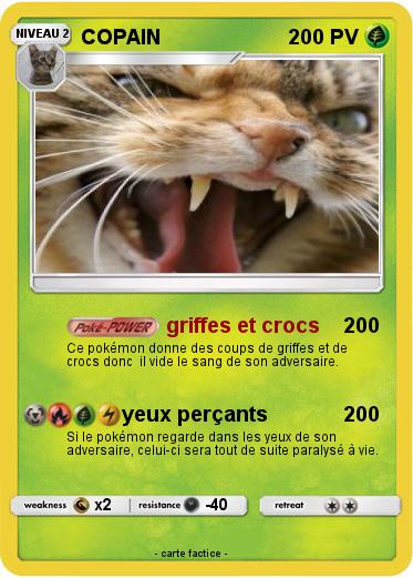 Pokemon COPAIN