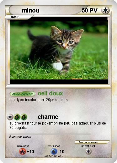 Pokemon minou