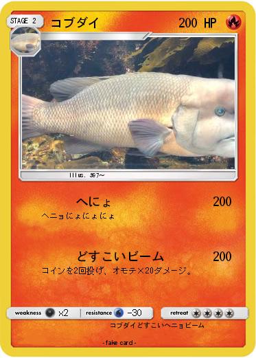 Pokemon コブダイ