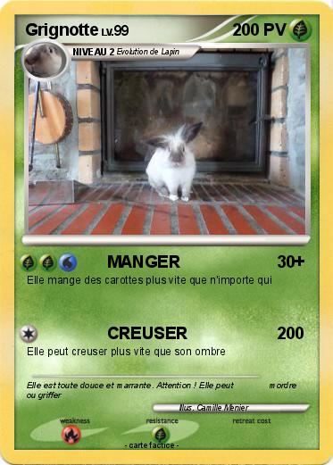 Pokemon Grignotte