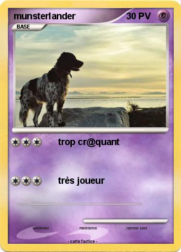 Pokemon munsterlander