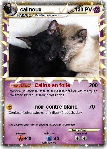 Pokemon calinoux