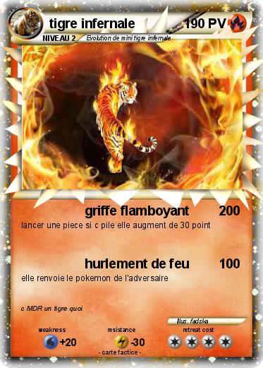 Pokemon tigre infernale