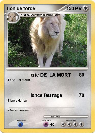 Pokemon lion de force