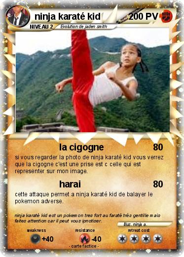 Pokemon ninja karaté kid