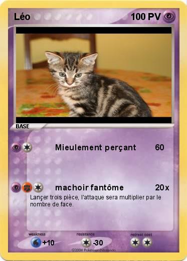 Pokemon Léo