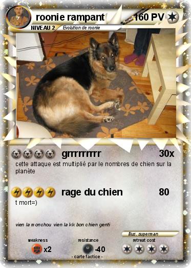 Pokemon roonie rampant