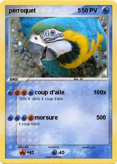 Pokemon perroquet                          5