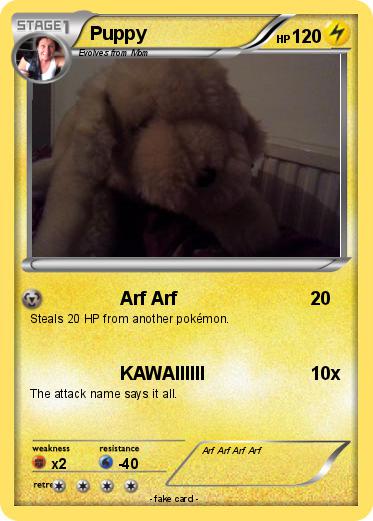 Pokemon Puppy