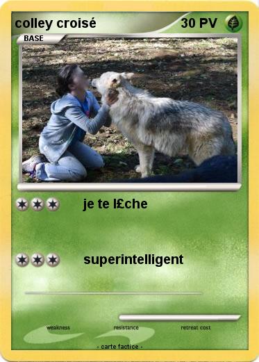 Pokemon colley croisé