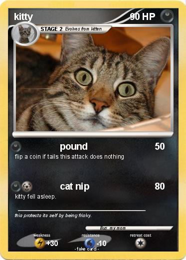 Pokemon kitty