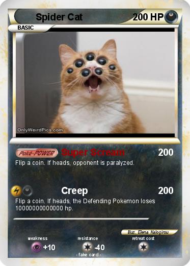 Pokemon Spider Cat