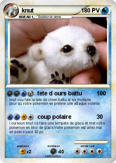 Pokemon knut