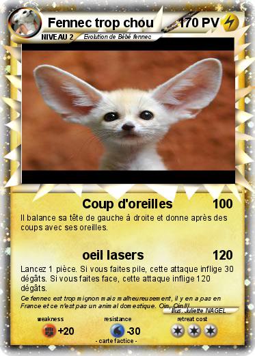 Pokemon Fennec trop chou