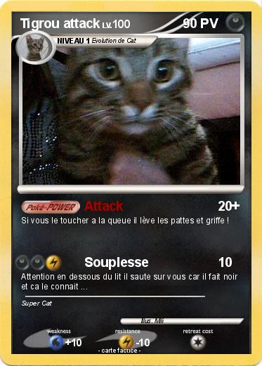 Pokemon Tigrou attack