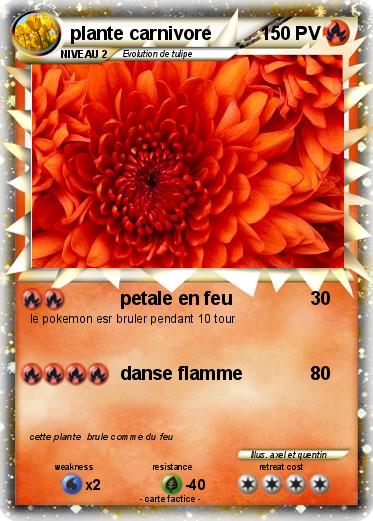 Pokemon plante carnivore
