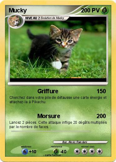 Pokemon Mucky