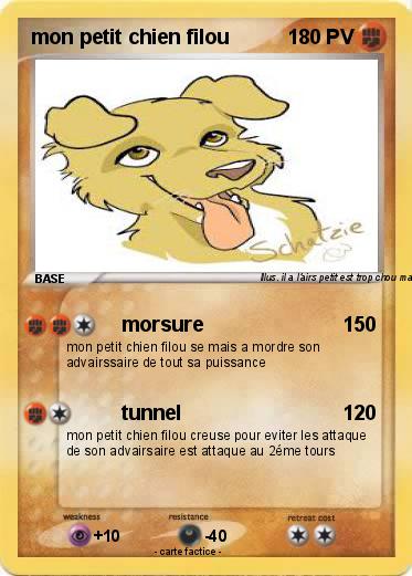 Pokemon mon petit chien filou