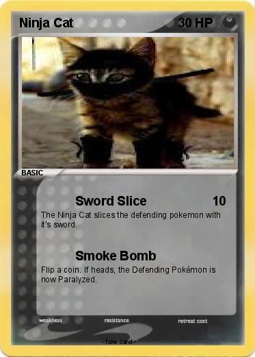Pokemon Ninja Cat