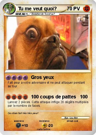 Pokemon Tu me veut quoi?