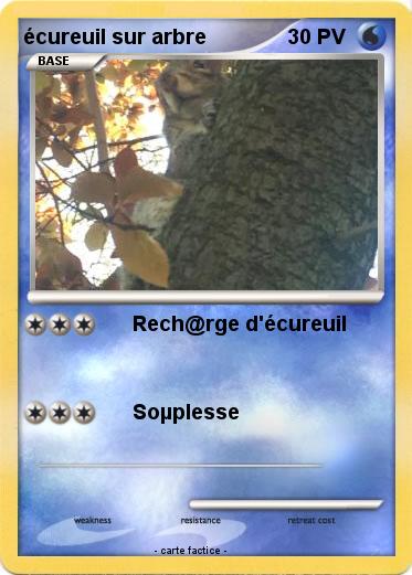 Pokemon écureuil sur arbre