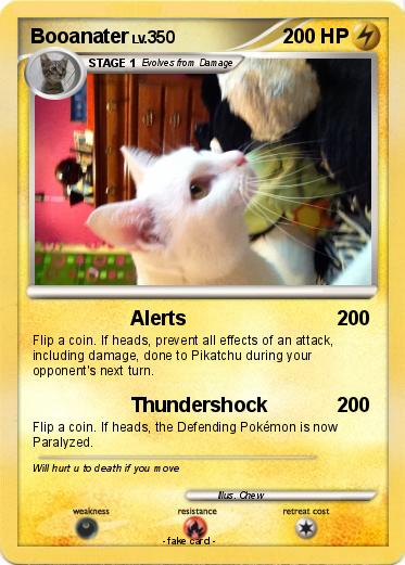 Pokemon Booanater