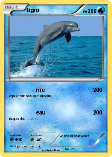 Pokemon tigro
