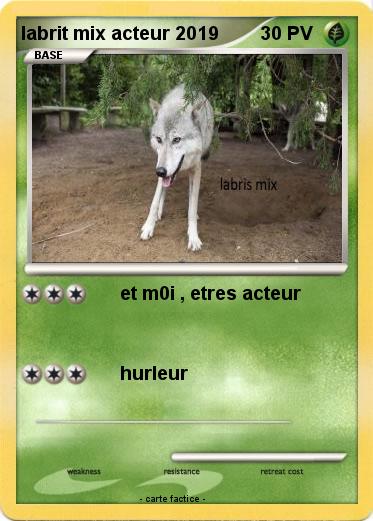 Pokemon labrit mix acteur 2019