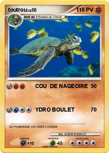 Pokemon toutrou