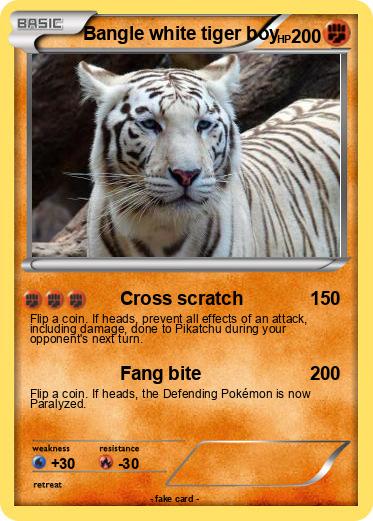Pokemon Bangle white tiger boy
