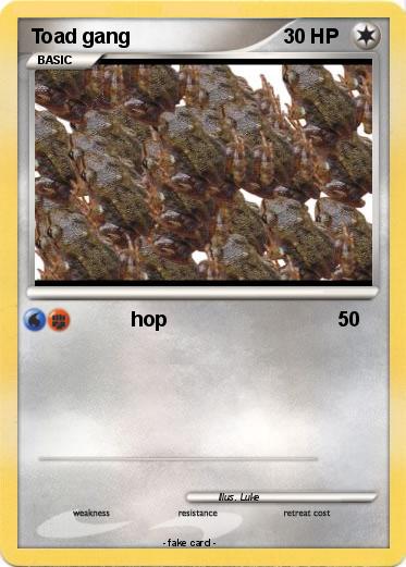 Pokemon Toad gang
