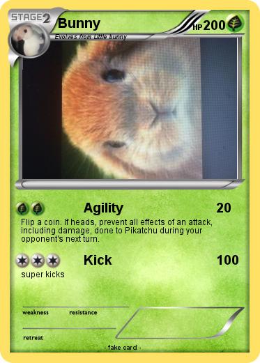 Pokemon Bunny